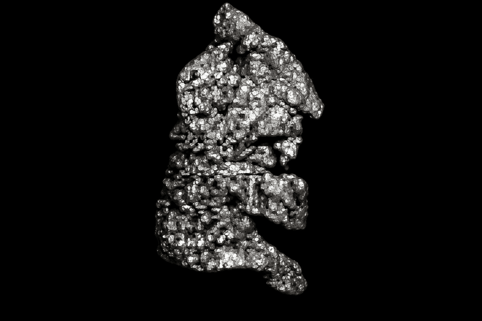 Translate AI pathology